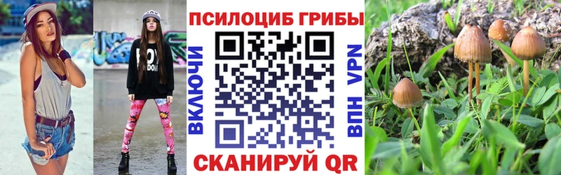 кракен вход  Карабаново  Псилоцибиновые грибы мицелий 